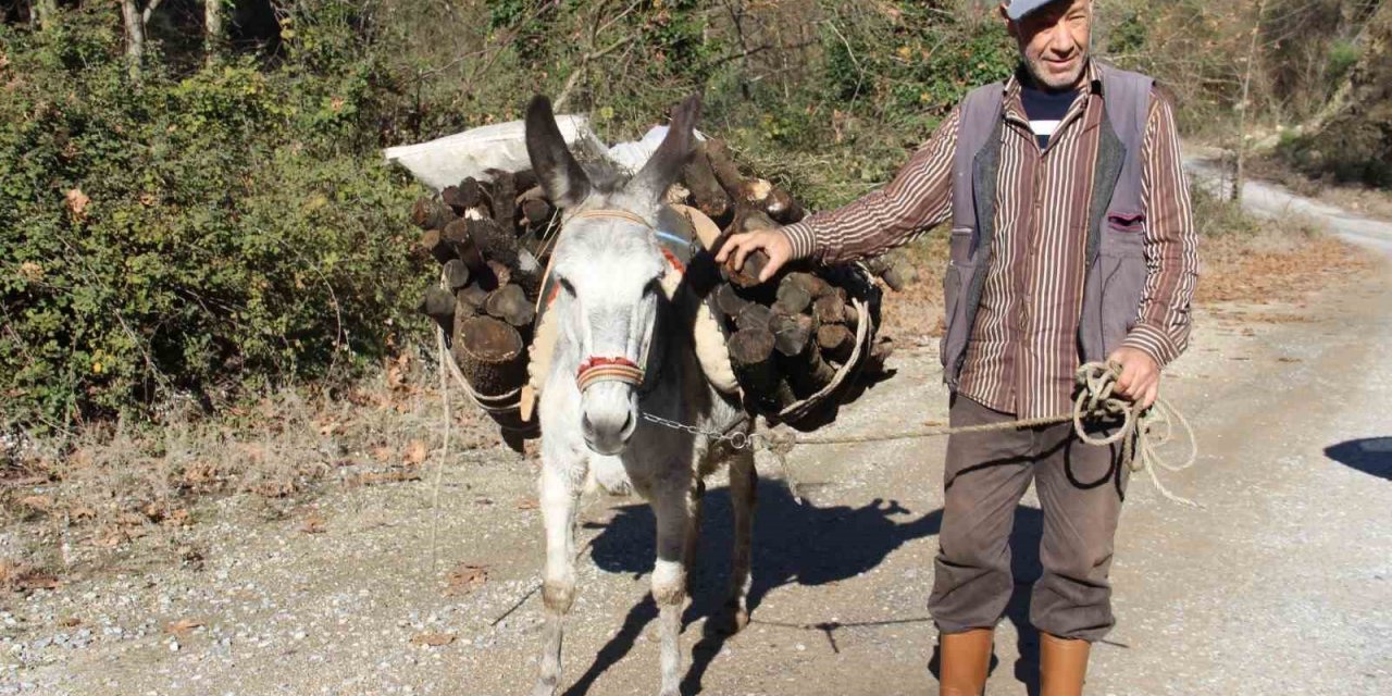 Araç kullanamadığı için eşekle yük çekiyor