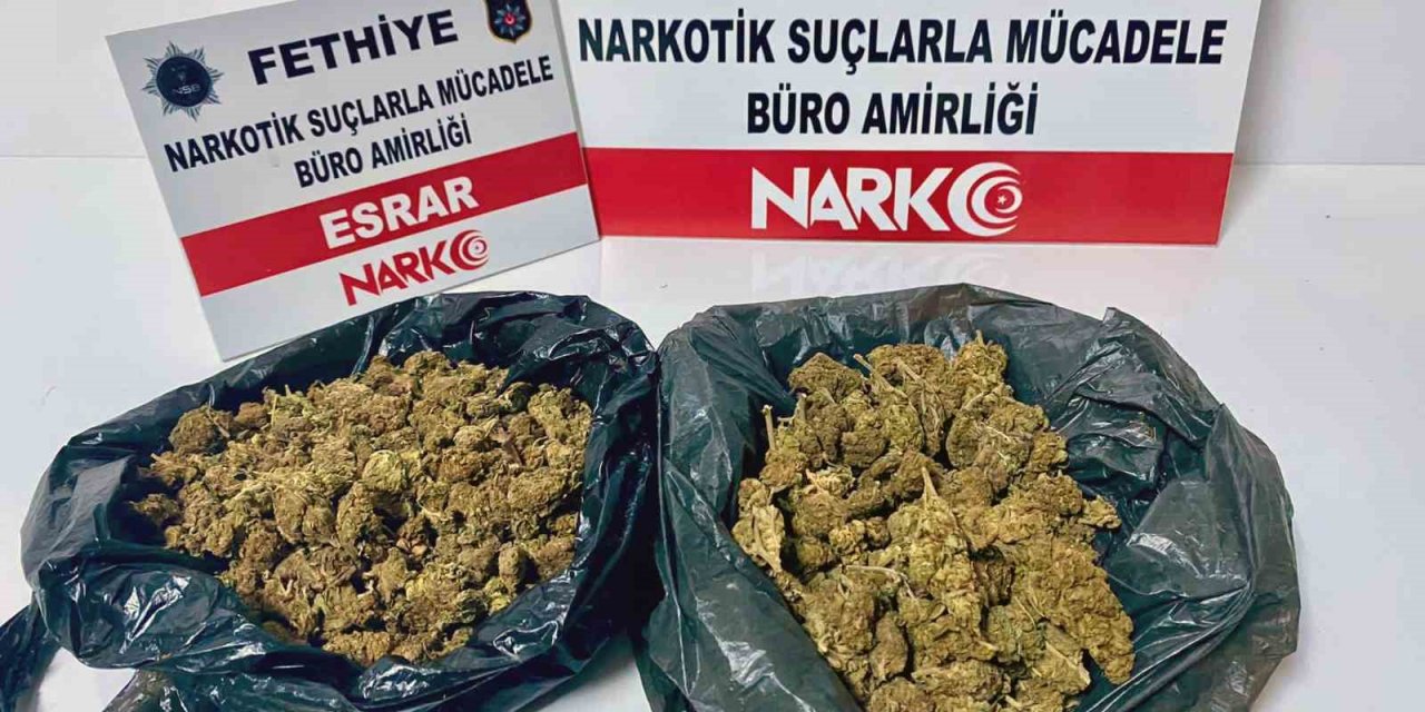 Kargo paketinden uyuşturucu çıktı