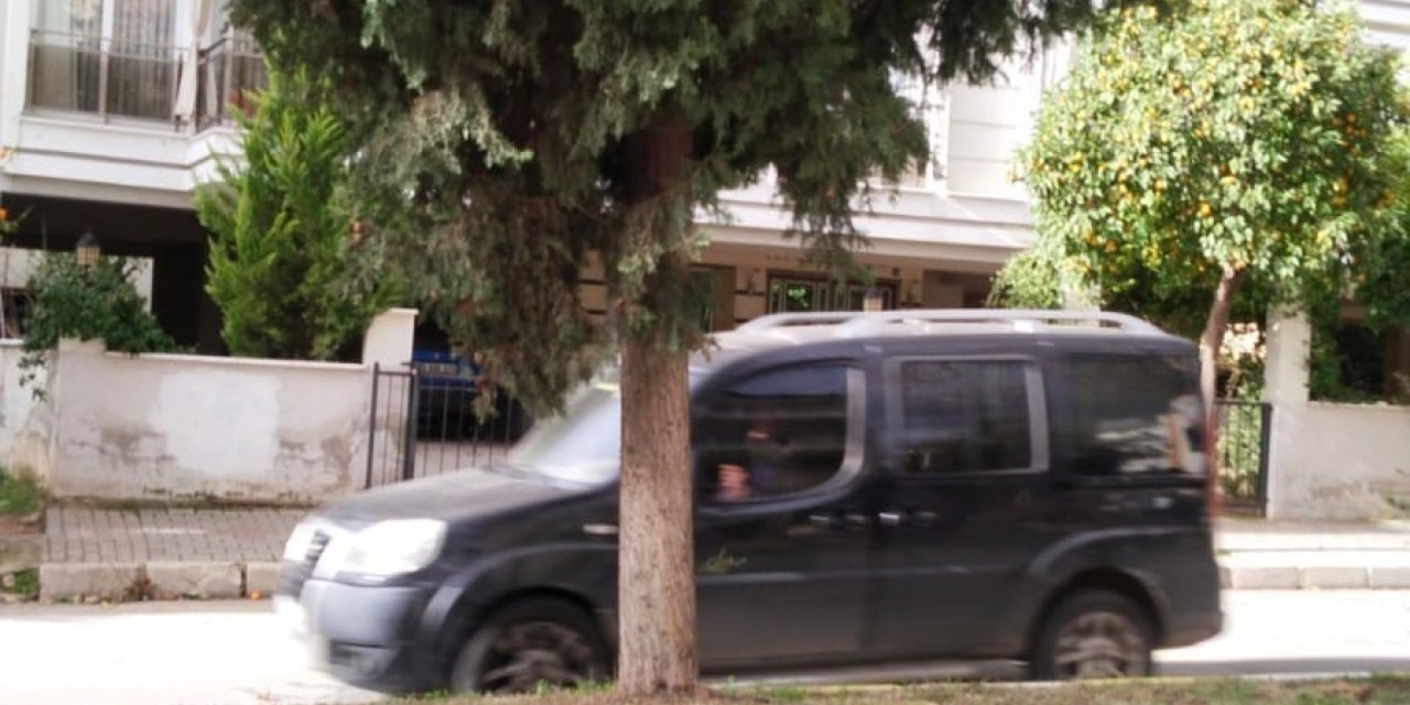 Köklerinden ayrılan ağaç tehlike oluşturuyor
