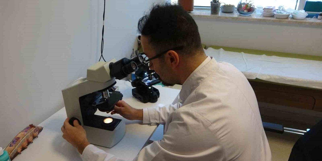 Uyuz hastalığının tedavisi kolaylaştı