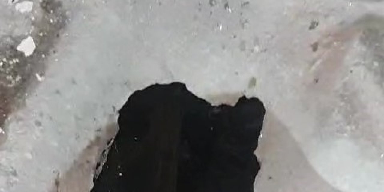 Tuvalet deliğine düşen kediyi itfaiye kurtardı