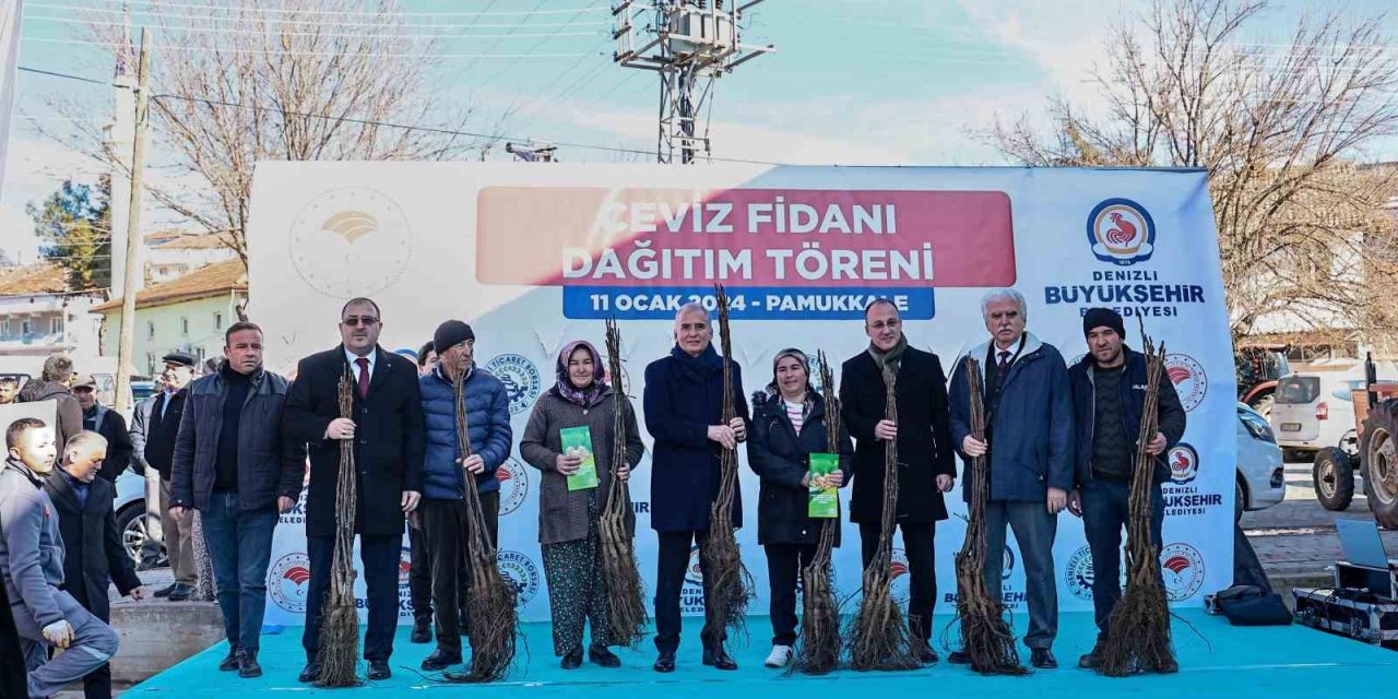 Cevizin merkezi Denizli olacak