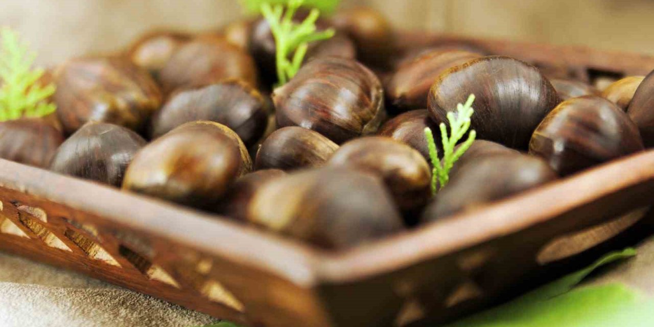 "Coğrafi işaret potansiyelimiz AB’den fazla"