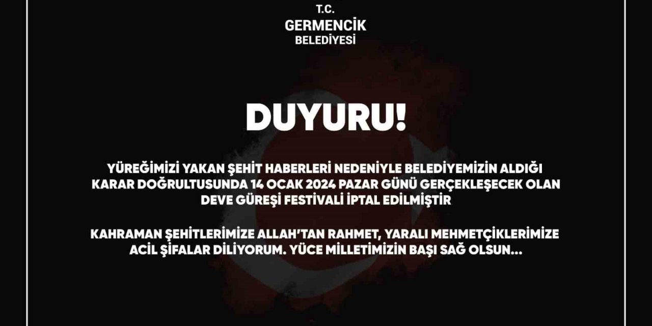 Germencik Deve Güreşi Festivali iptal edildi