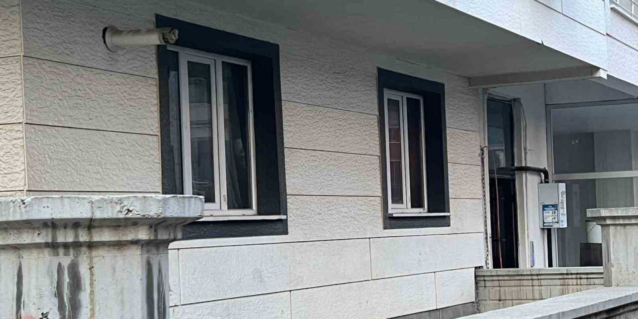 Doğal gaz faciasıyla ilgili yetkili firmadan açıklama geldi