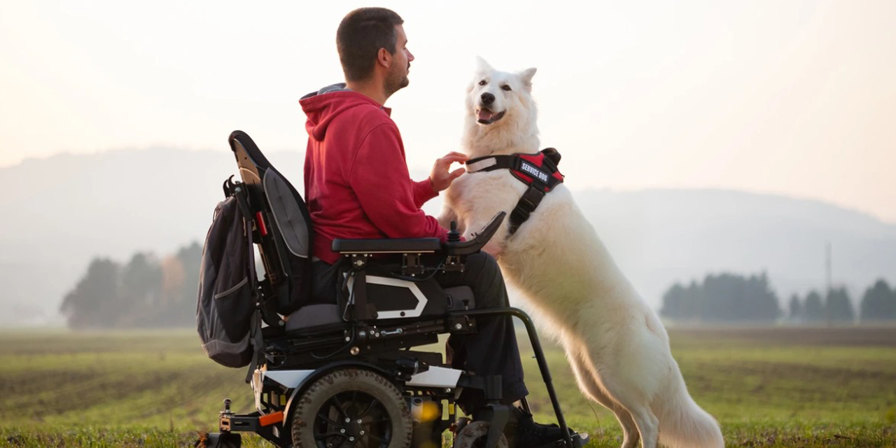 Akülü tekerlekli sandalye satın al