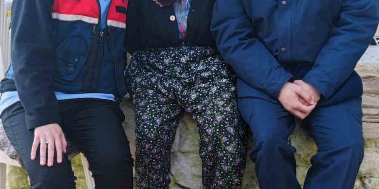 Aydın İl Jandarma Komutanlığı asırlık çınarları yalnız bırakılmıyor