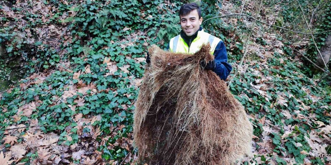 İçmesuyu hattından 1 metrelik kunduz çıktı