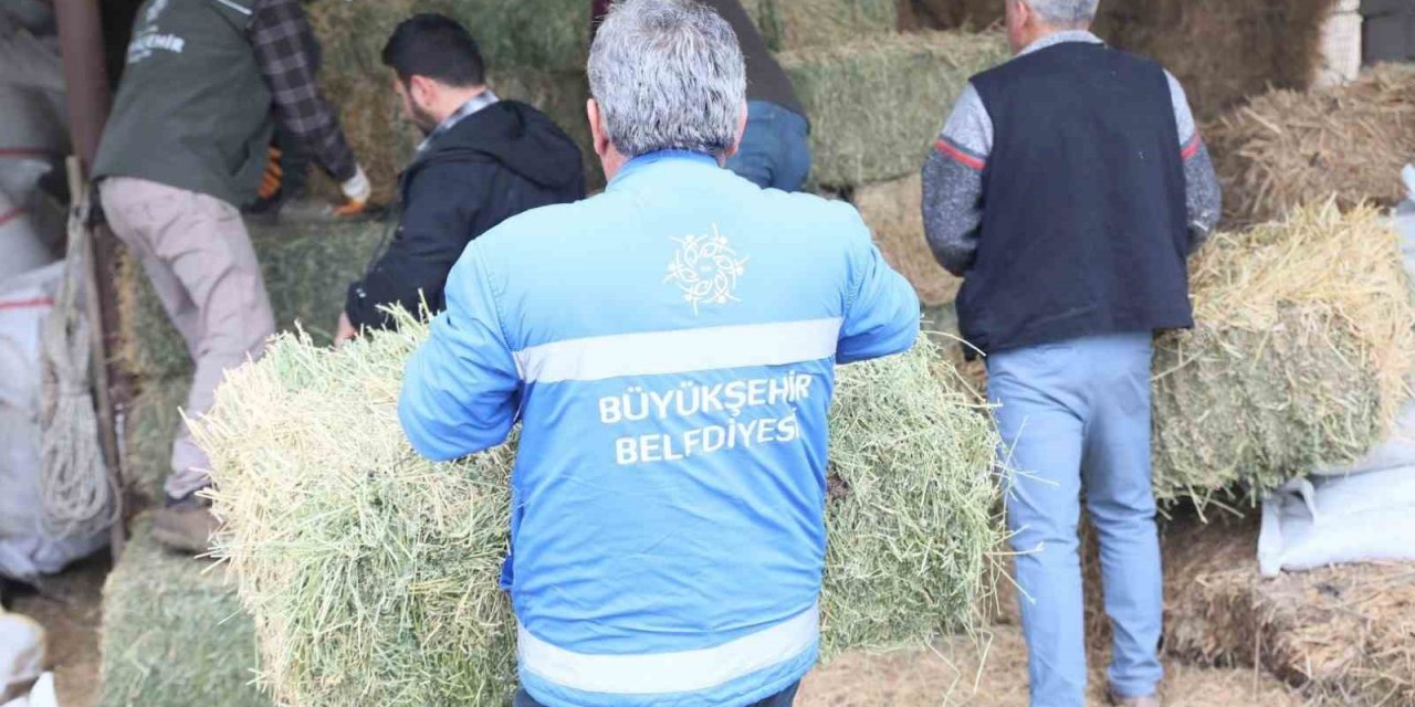 Başkan Çerçioğlu’ndan üreticiye yem ve yonca desteği