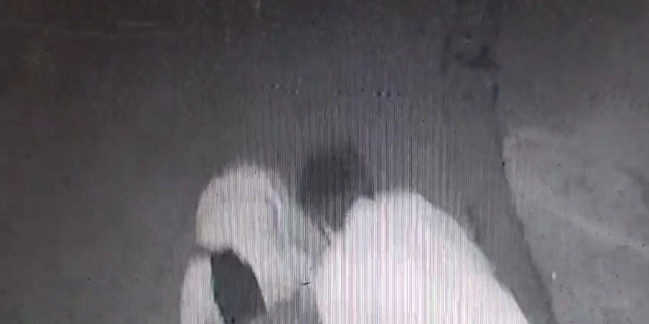 İzmir’deki ‘laf atma’ cinayetinin görüntüsü ortaya çıktı