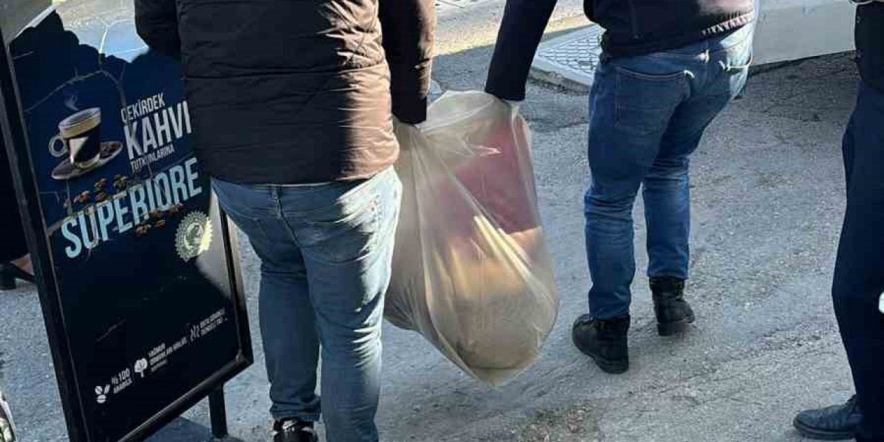 İzmir’de 3 köpek telef oldu, 2 köpek tedaviye alındı