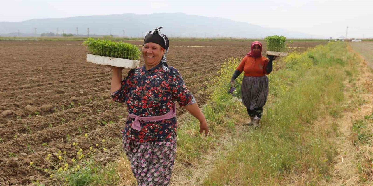 Efeler’de ’Yüzde Yüz Kadın Emeği Tarımsal Ürün Fabrikası’ Türkiye’ye örnek oluyor