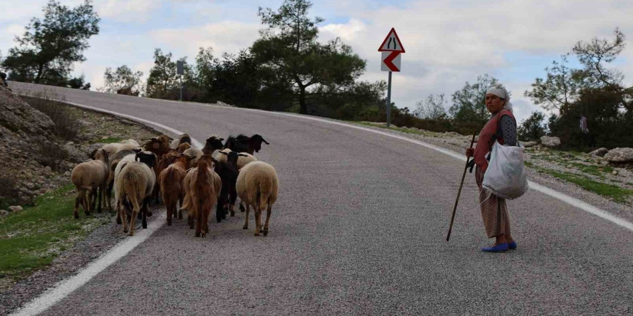 Çobanlık mesleği de unutulmaya yüz tuttu