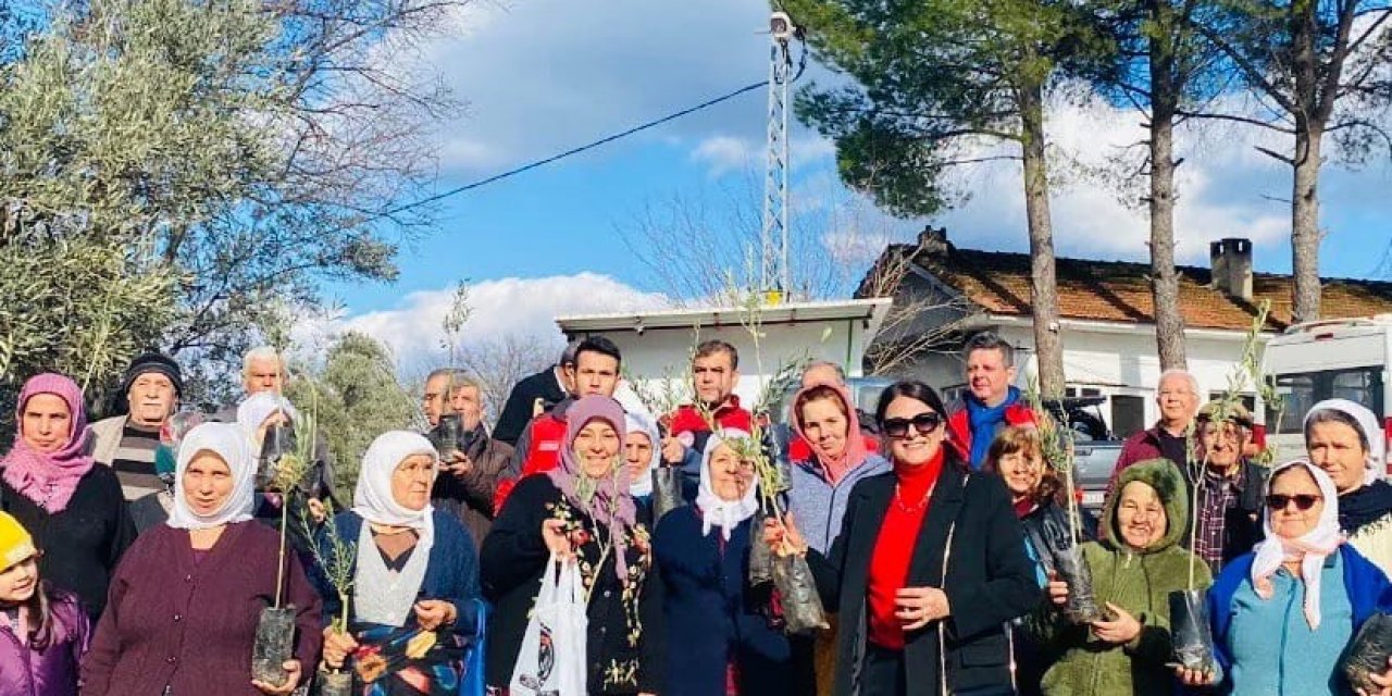 Menteşeli zeytin üreticileri bilgilendirildi