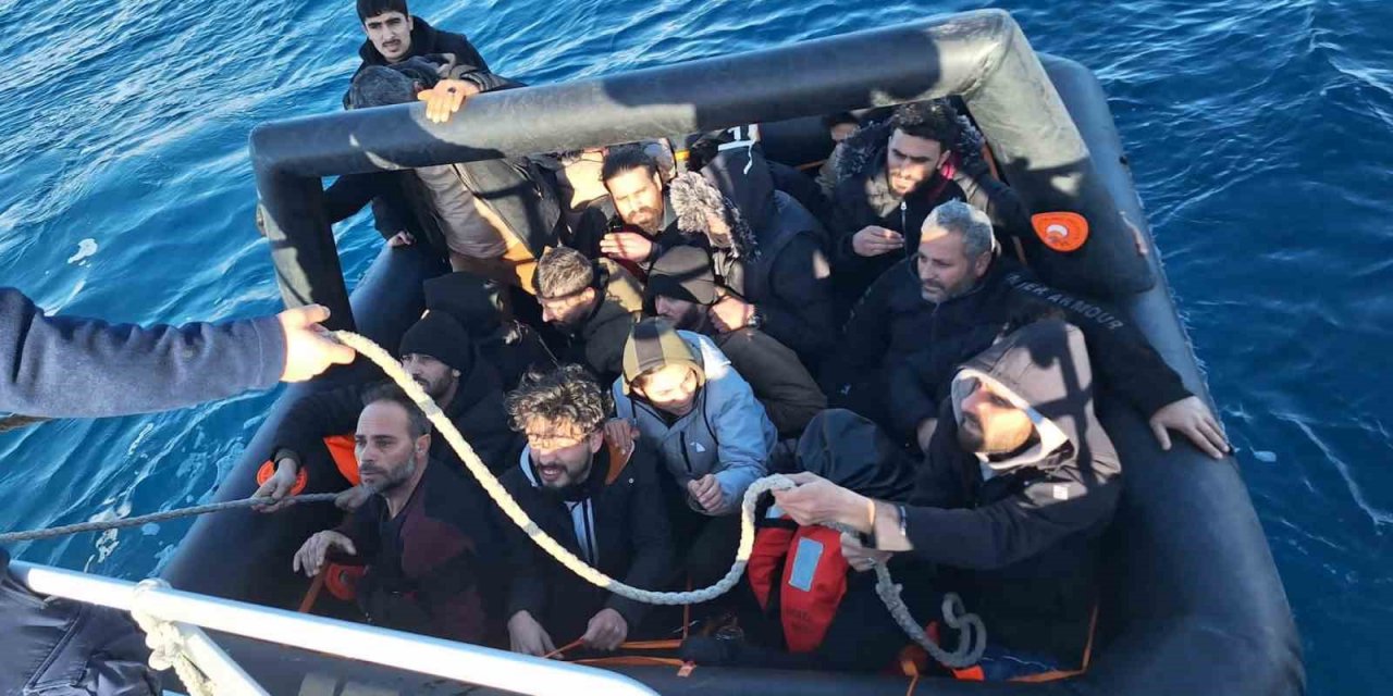 İzmir sularında göçmen hareketliliği