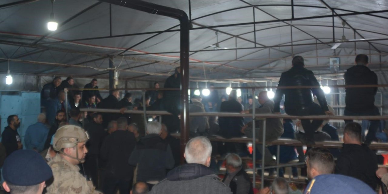 İzmir’de horoz dövüşü yaptıranlara jandarmadan operasyon