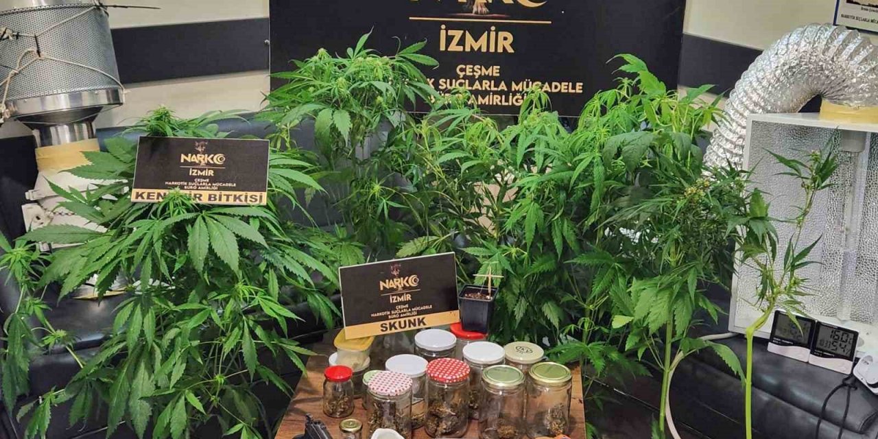 İzmir’de torbacı operasyonu: 5 tutuklama
