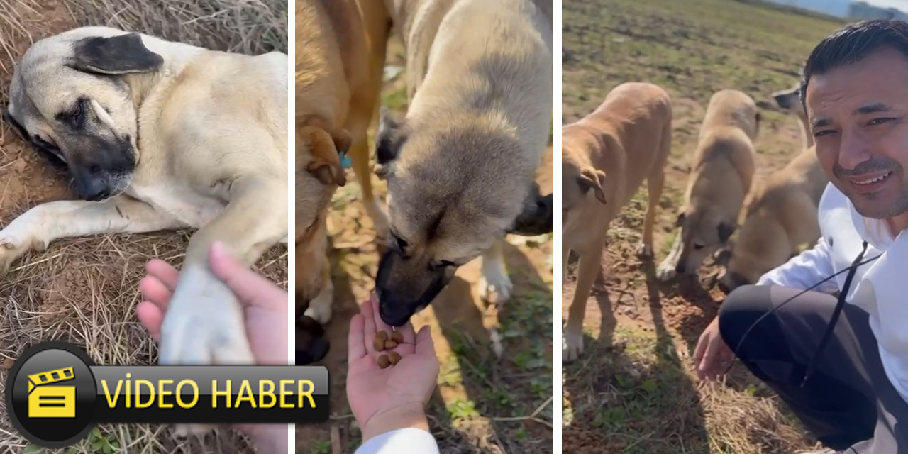 “31 Mart’ta Aydın’ı senden, bu canları zulmünden kurtaracağız”