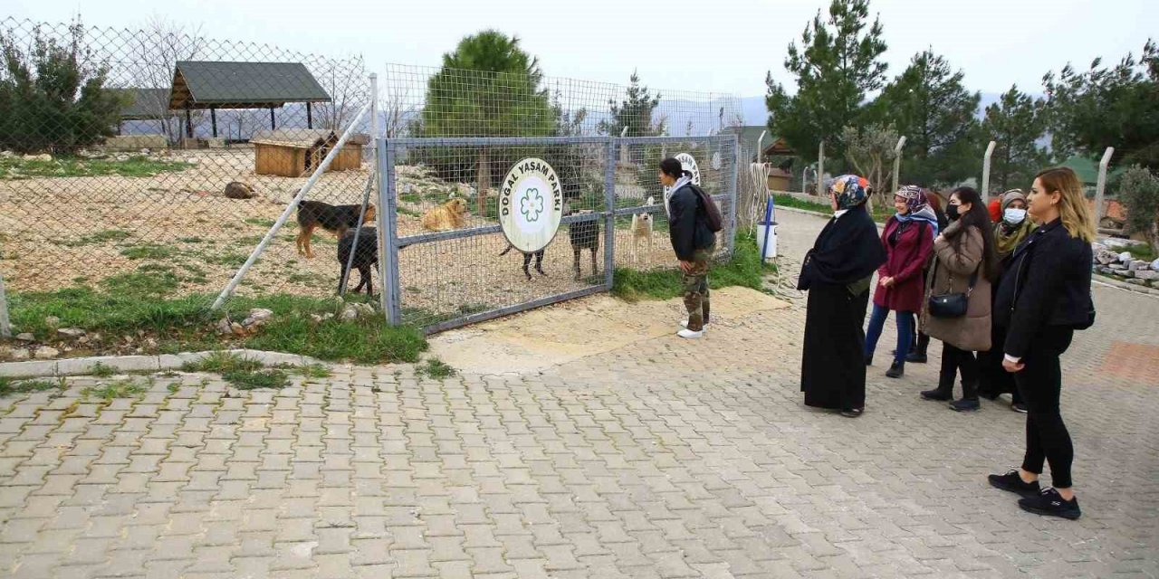 Büyükşehir Geçici Hayvan Bakımevi’ne ziyaretçi akını
