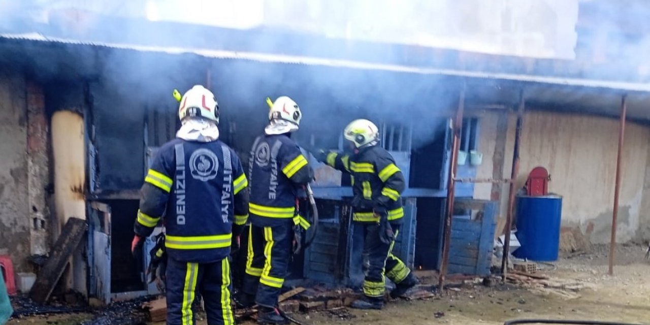 Kümesteki hayvanları yoldan geçen vatandaşların dikkati kurtardı