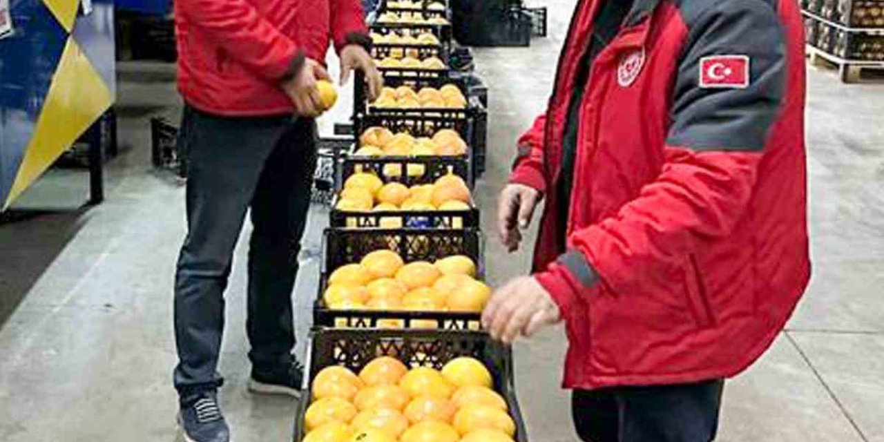 Ortaca’dan portakallar yola çıktı