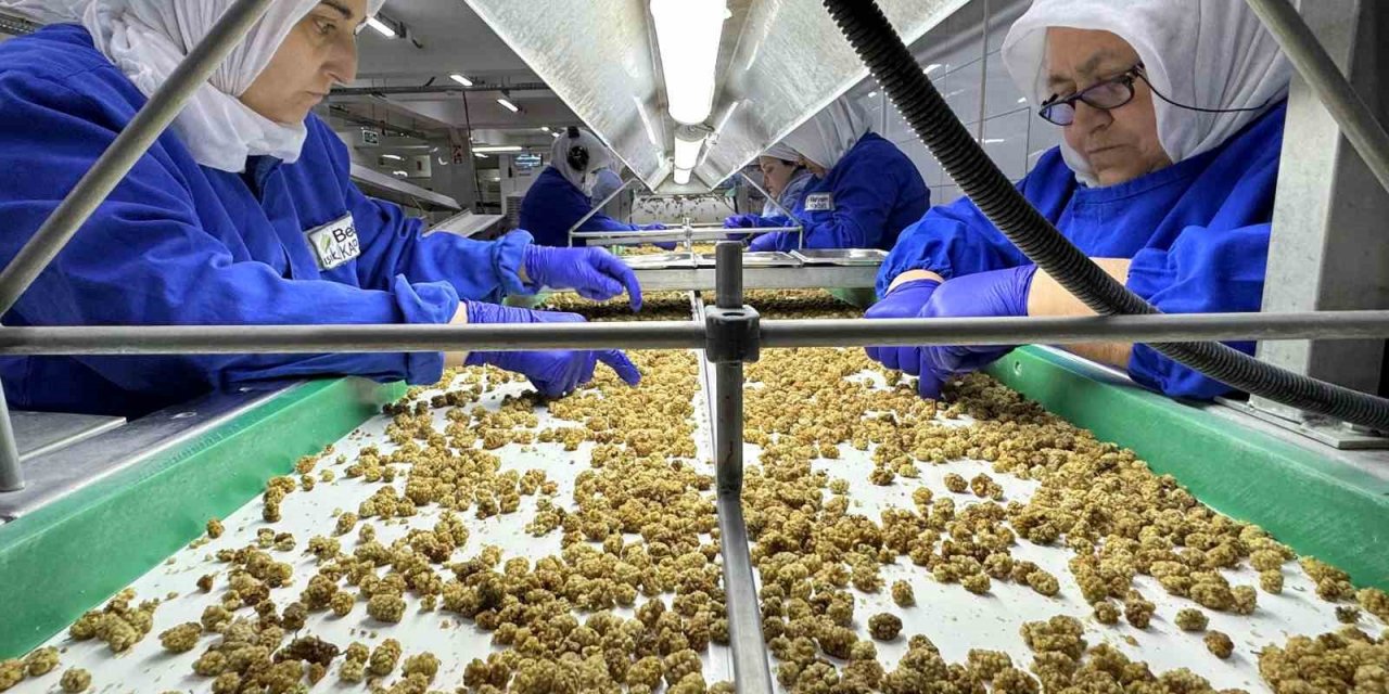 Türkiye organik ürün ihracatında 1 milyar dolar sınırını aştı