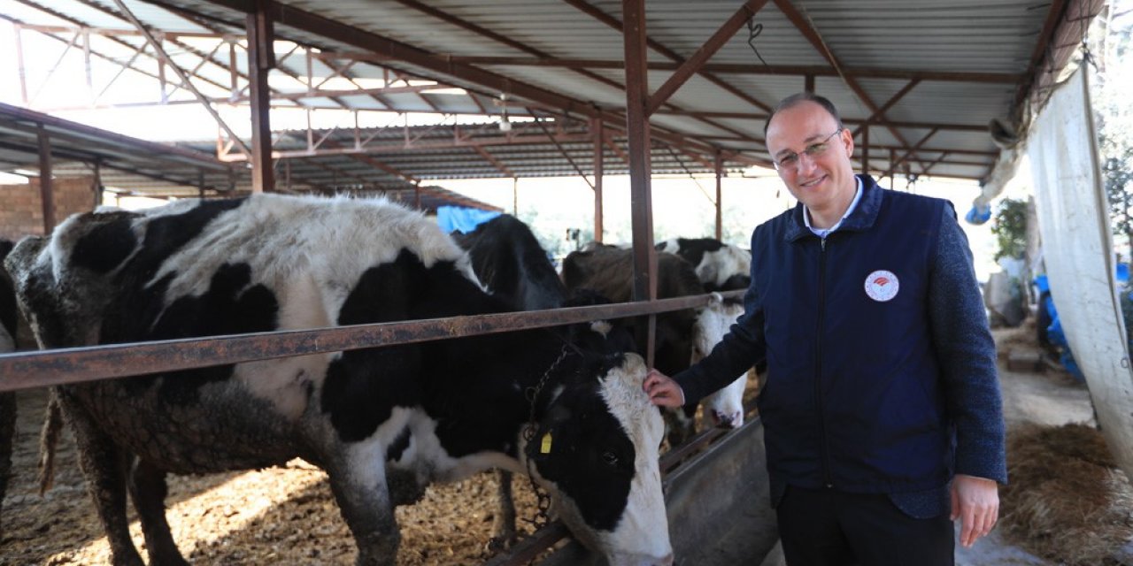 Pamukkale’de 60 bin hayvan ücretsiz aşılanacak