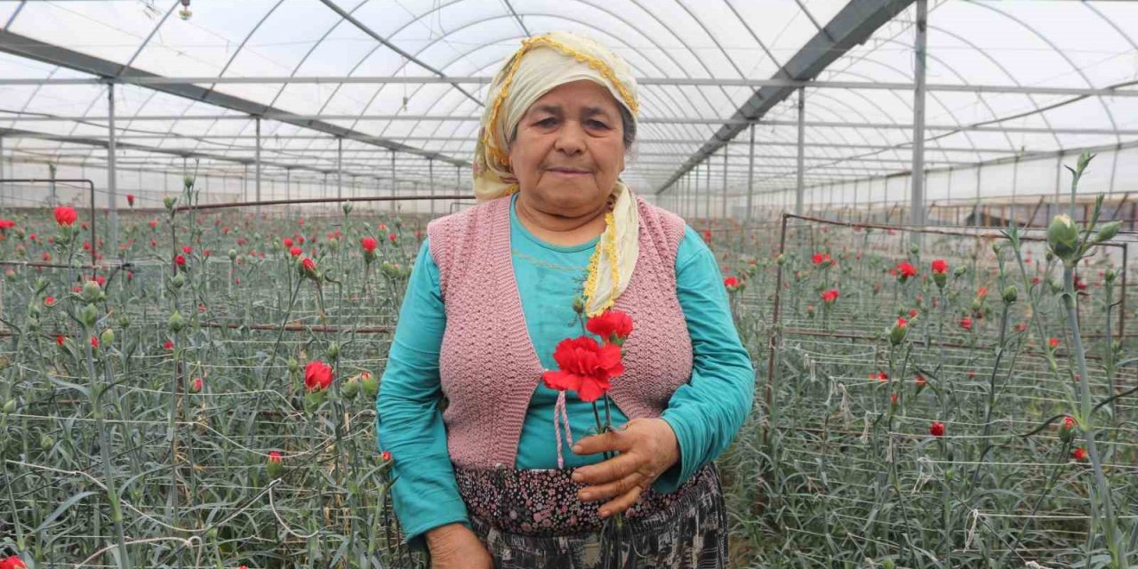 Sevgililerin çiçekleri İzmir’den: 14 Şubat öncesi hasat yoğunluğu