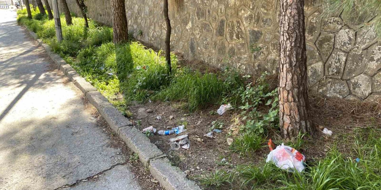 Topyatağı değil ’çöpyatağı’ varyantı