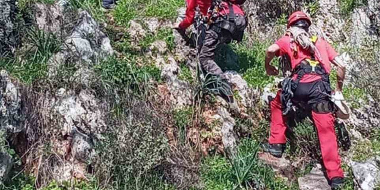 Kayalıklarda mahsur klan keçi ve yavrusunu AKUT ekibi kurtardı