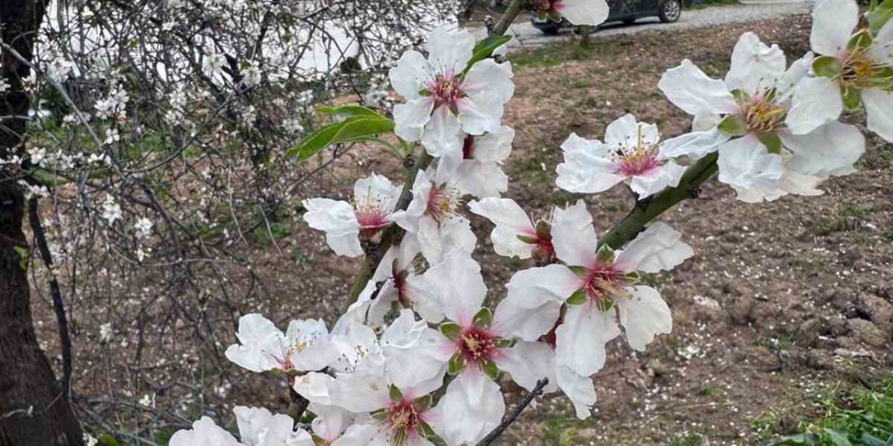 İlk cemre havaya düştü