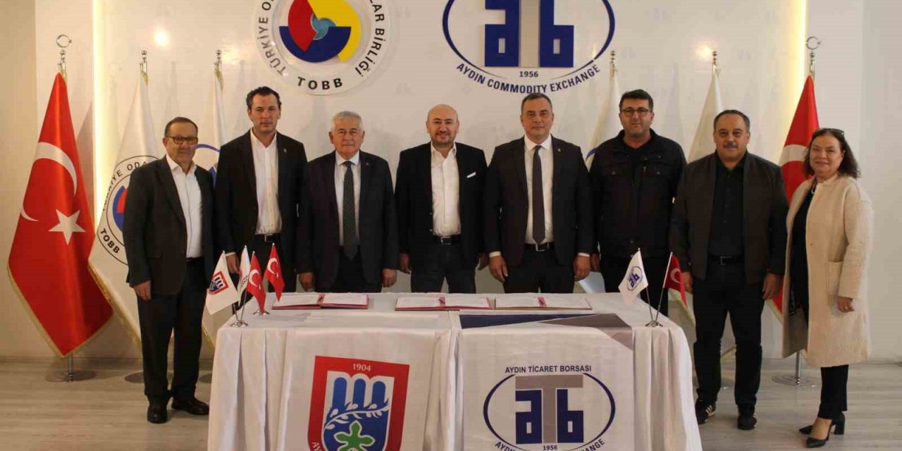 Zeytinyağı tadım operatörleri Aydın’da yetişecek