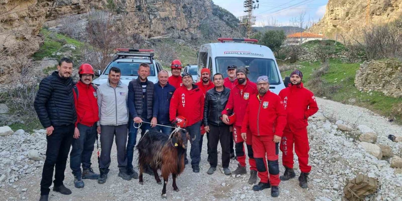 100 metre yükseklikte nefes kesen keçi kurtarma operasyonu
