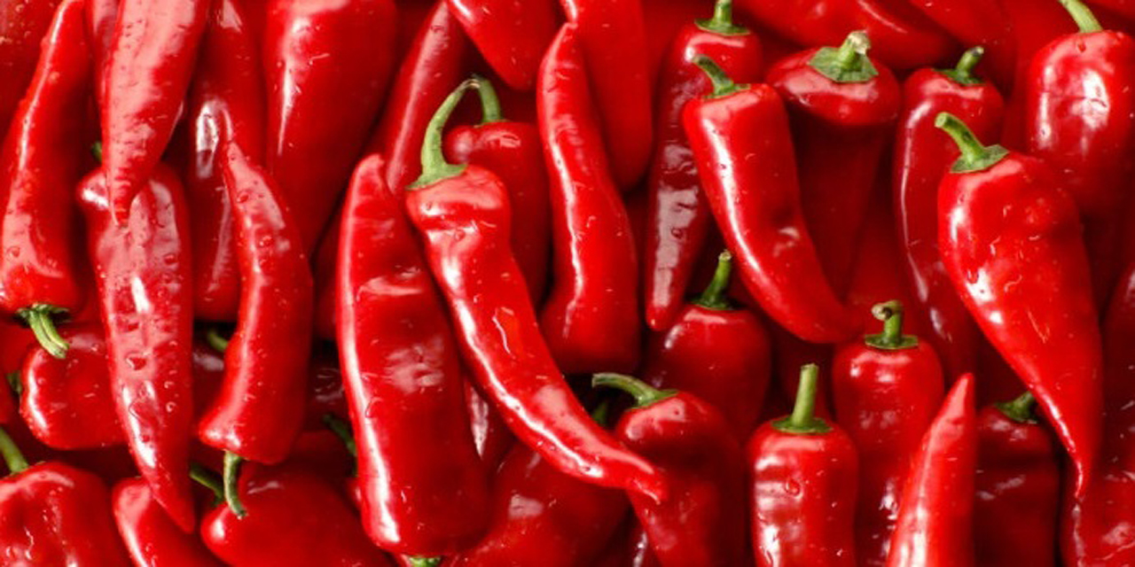 Kapya biber nedir? Faydaları nelerdir?