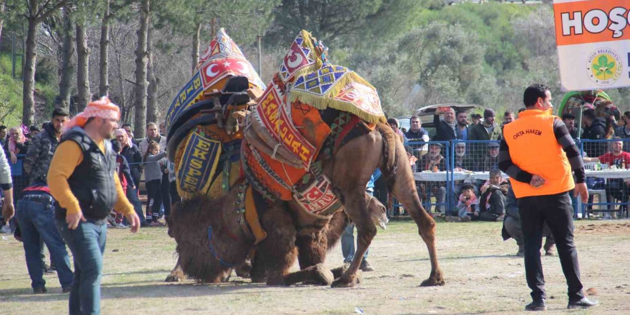 Başkan Güler’den deve güreşine davet