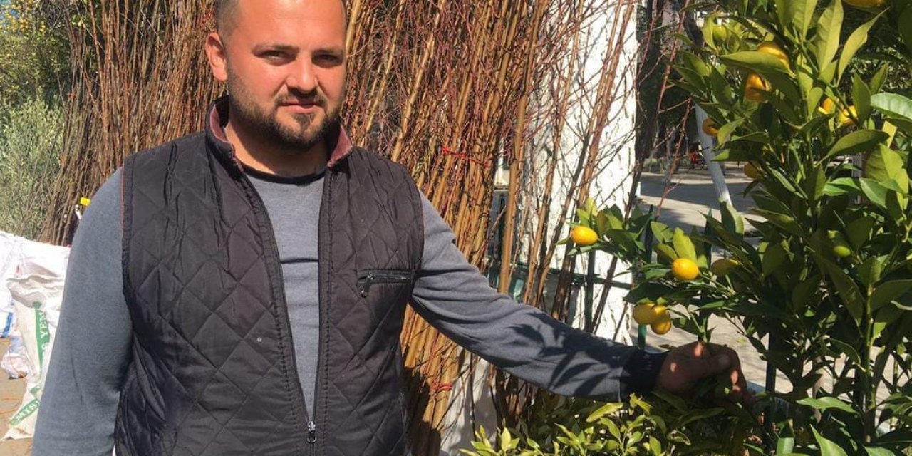 Fidan satışları başladı