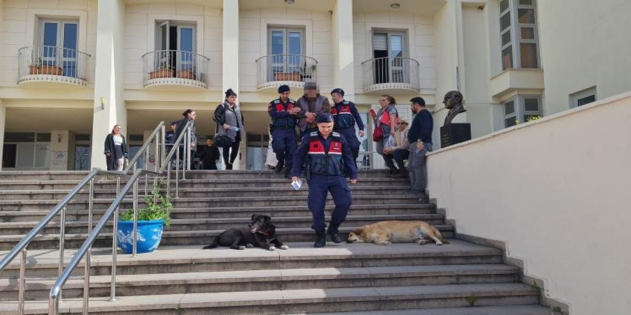 Bodrum’da 12 hayvanı zehirlediği iddia edilen şahıs yakalandı