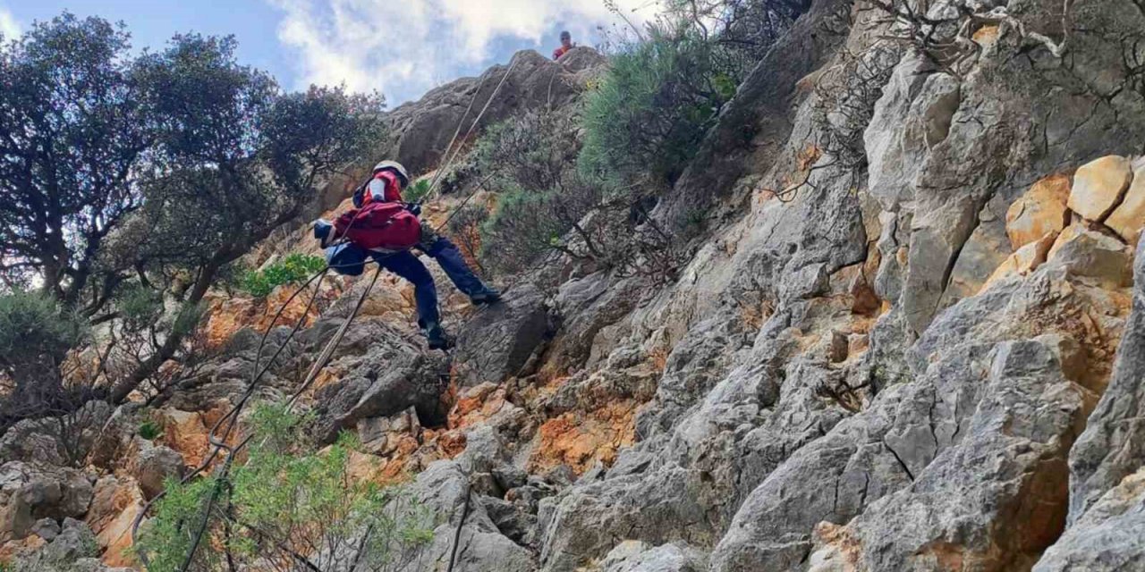AKUT’tan Marmaris’te keçi operasyonu