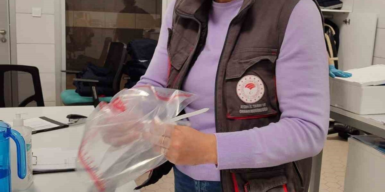 Söke’de 1 ayda 5 bin ton zirai ürün ihraç edildi