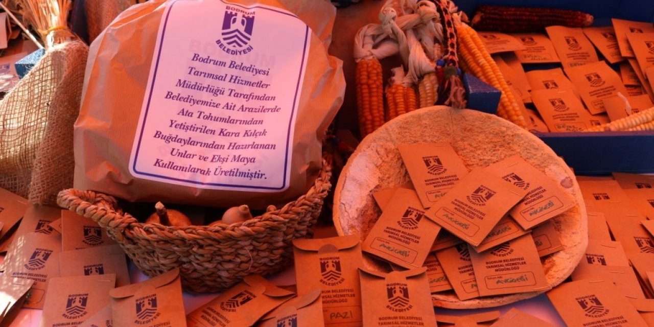 Tohum Takas Şenliği 3 Mart’ta Bodrum’da