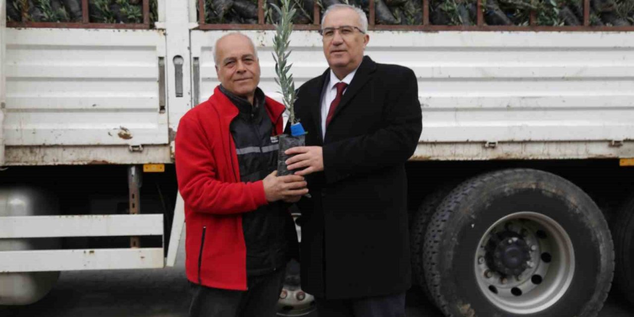Çamelili çiftçilere 5 bin adet zeytin fidanı dağıtıldı