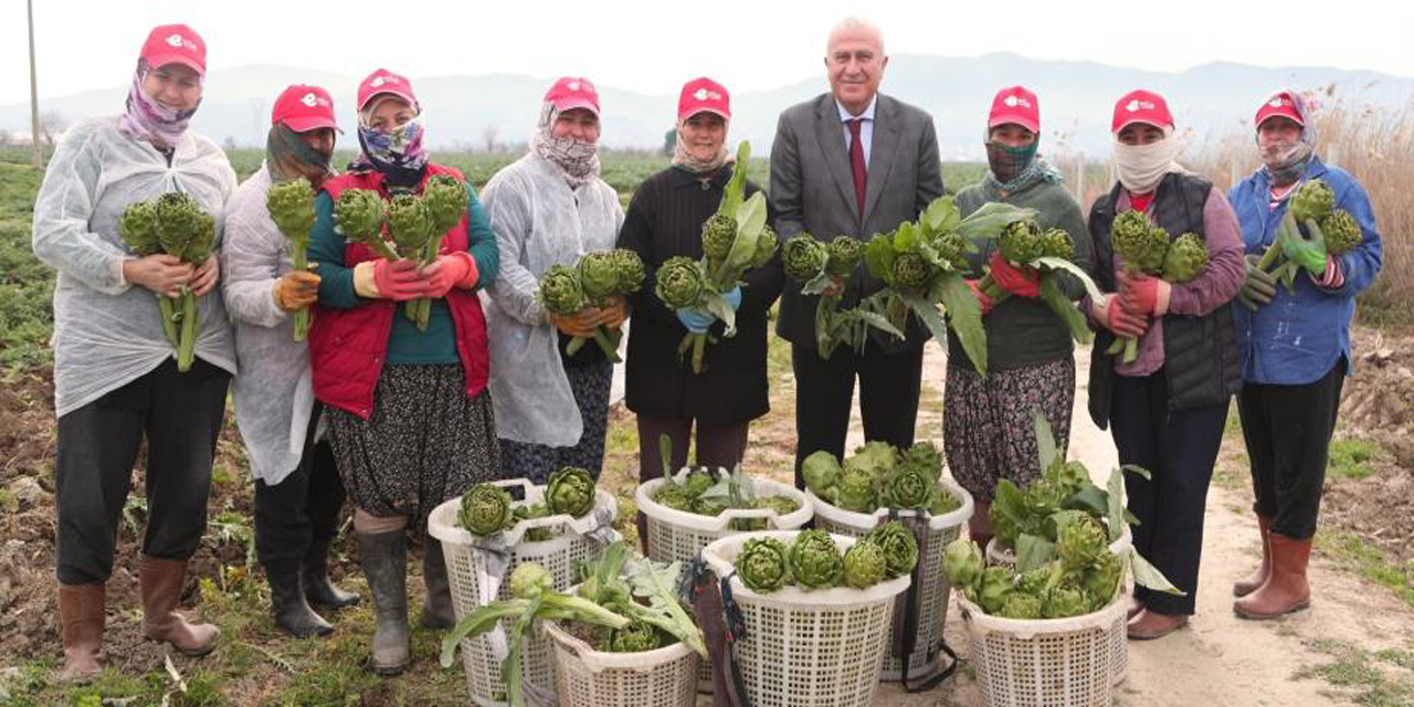 Başkan Atay’dan enginar, kuşkonmaz ve şevketi bostan hasadı