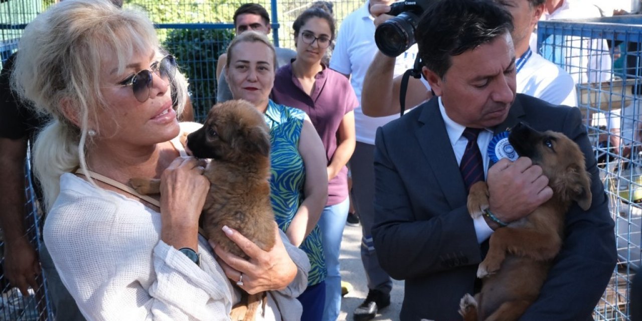 Bodrum Belediyesi’ne HAYTAP’tan tam not