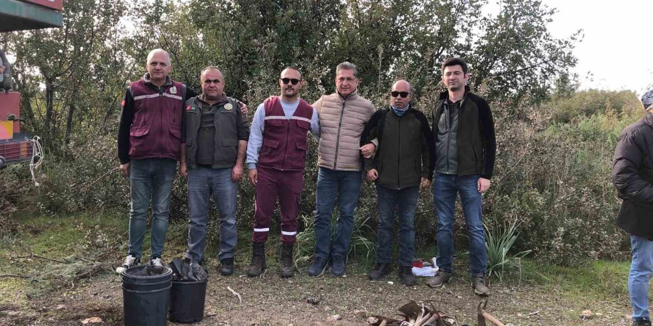 Datça’da gelecek için fidan diktiler