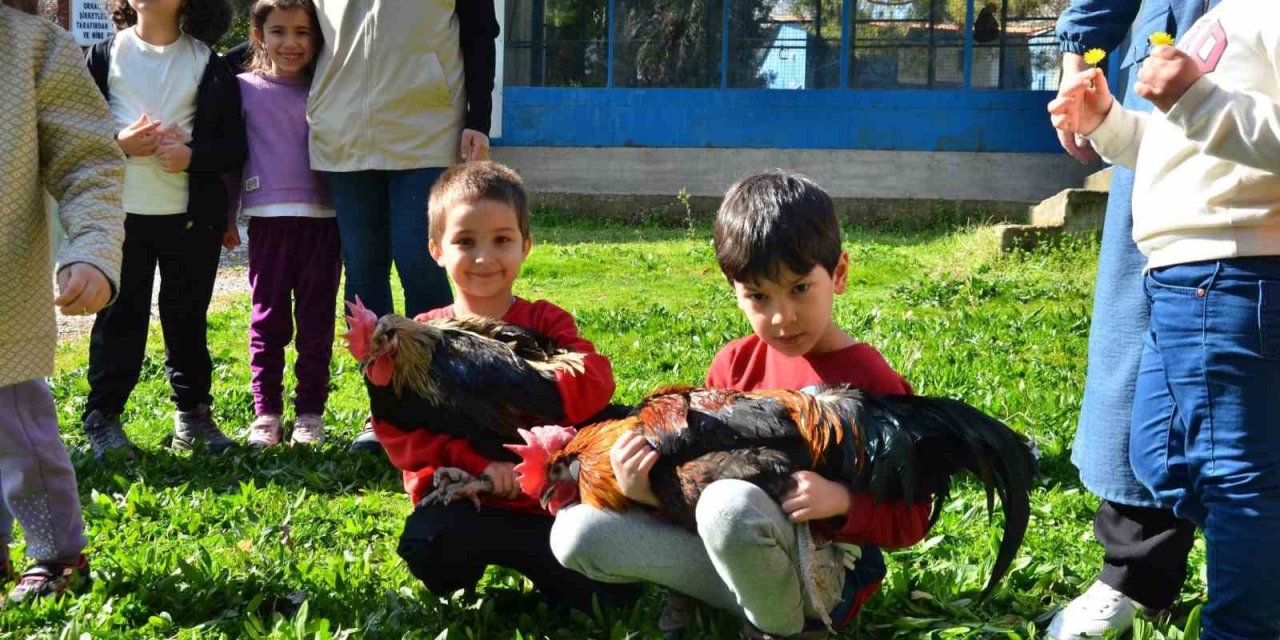 Denizli’de miniklere tarım dersi verildi