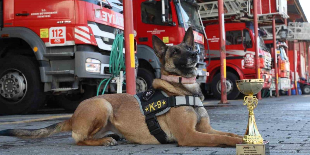 Büyükşehir’in arama kurtarma köpeği ödül aldı