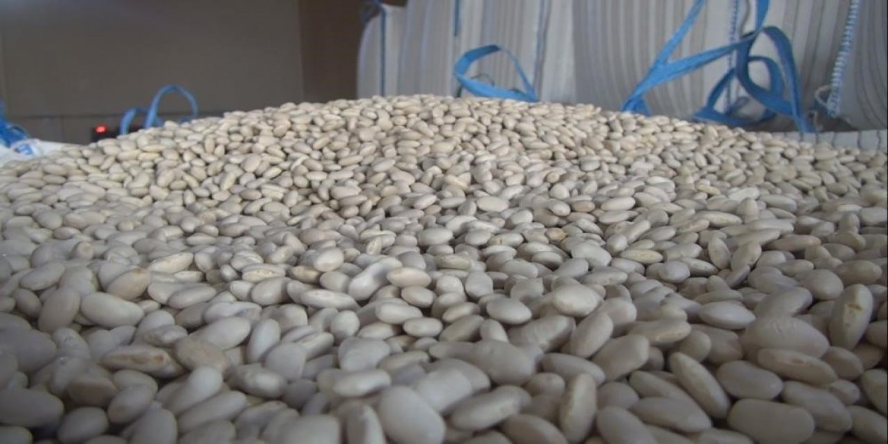 Ortaca’da baklagil üretimi artacak