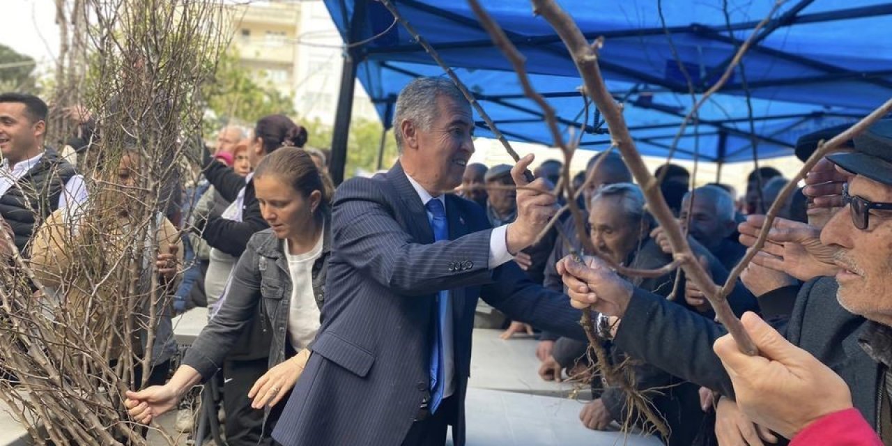 Başkan Erol’dan badem fidanı dağıtımı