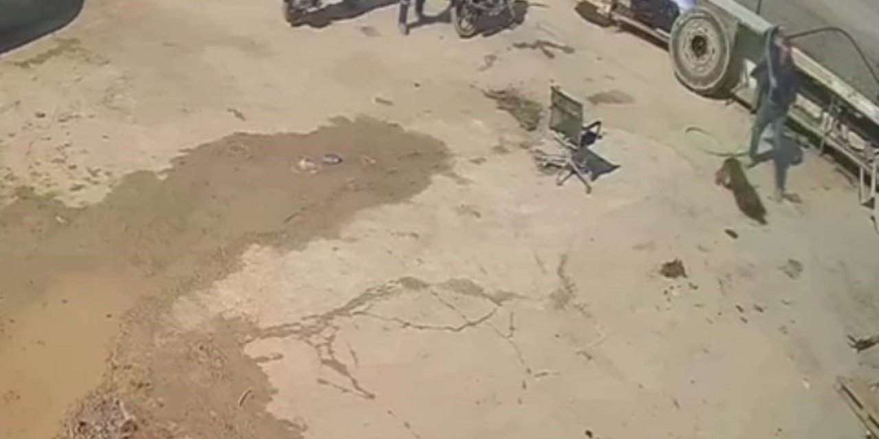 Köpeğe saldırana ev hapsi, izleyene barınakta çalışma cezası verildi