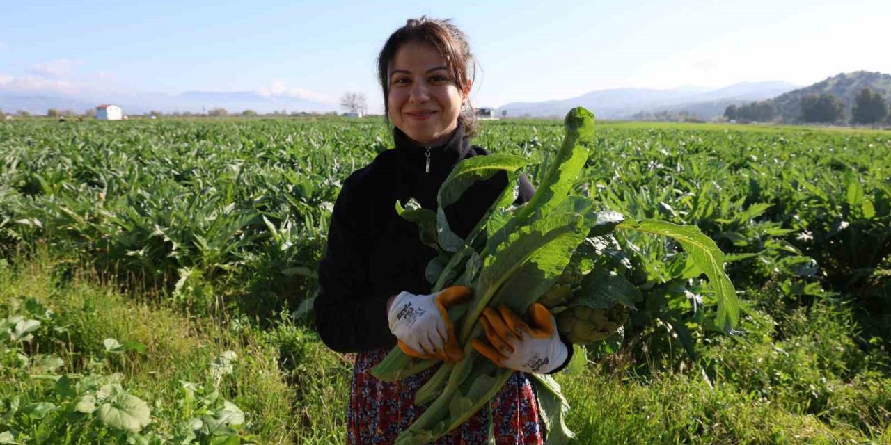 Yeşil elmas ’enginar’ tarlada 20, tabakta 400 lira